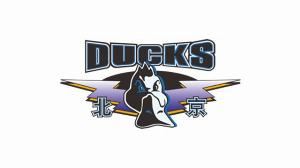 北汽男篮新赛季主场确定首钢冰球馆+五棵松